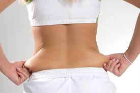 Love Handles Inch Loss Therapy